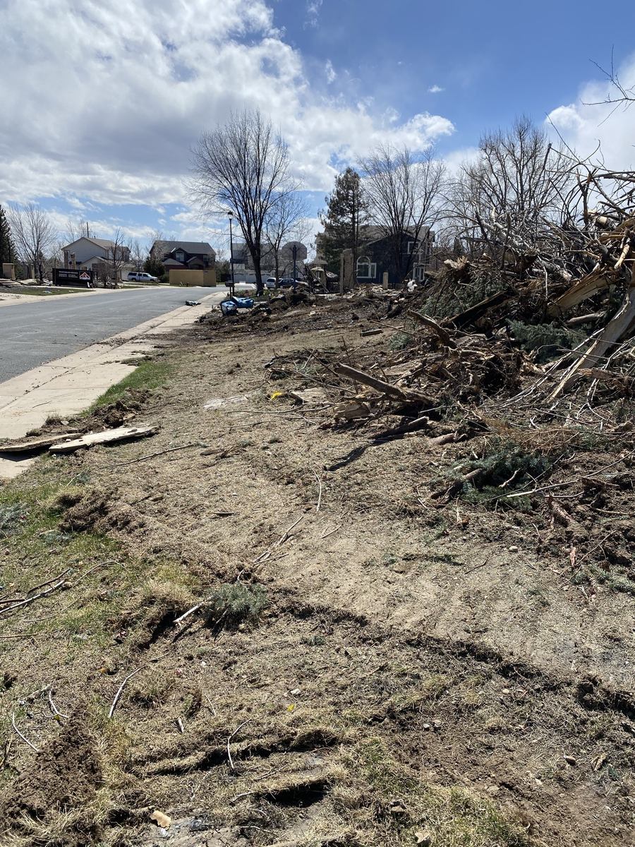 Ash and debris cleared from a residential site